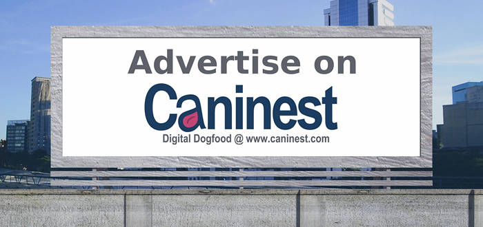 Advertise on Caninest