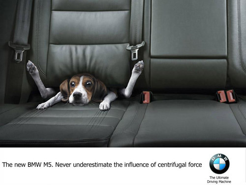 Clever Dog BMW Ad