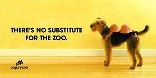 Clever Calgary Zoo Dog Ad