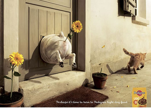 Clever Pedigree Ad