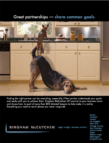 Clever Dog Law Firm Ad