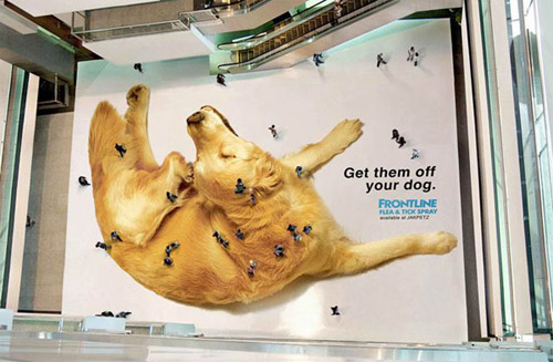 Clever Frontline Ad