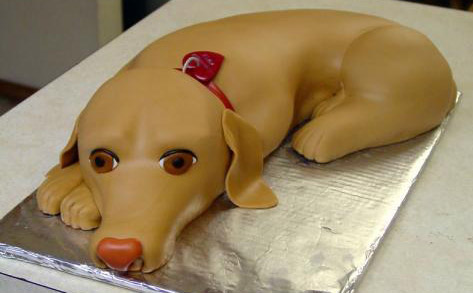 Dog Cake