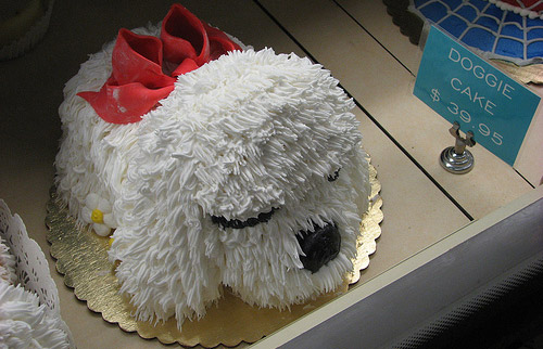 Dog Cake