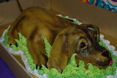 Dog Cake