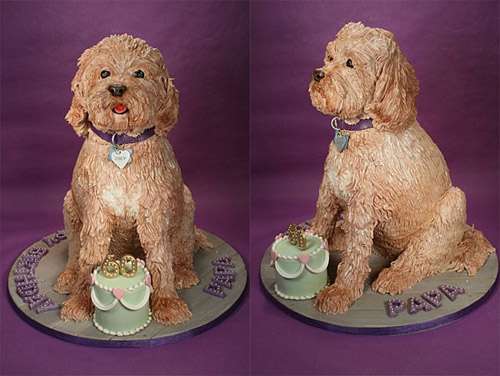 Dog Cake