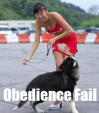 Dog Fail