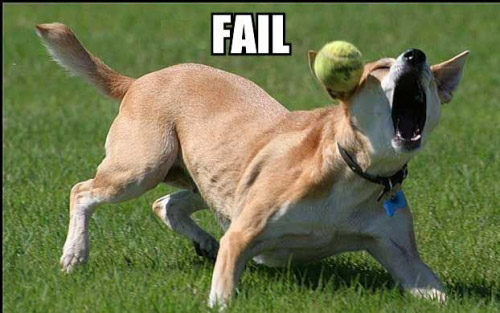 Dog Fail