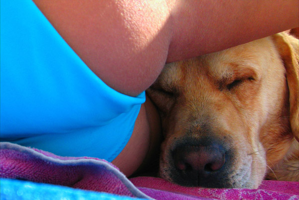 Girl & her dog