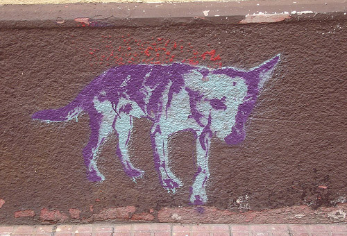 Dog Graffiti