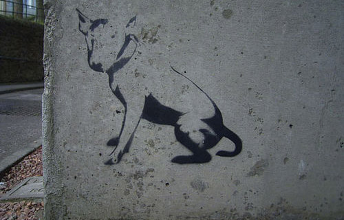 Dog Graffiti