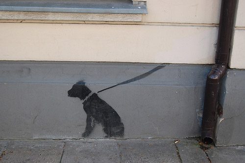Dog Graffiti