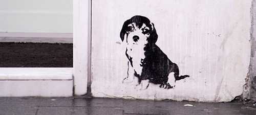 Dog Graffiti