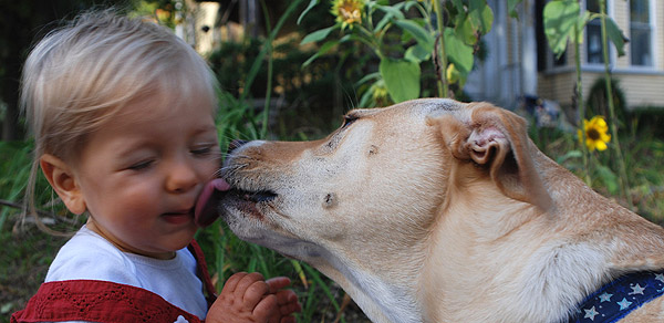 Dog Kisses