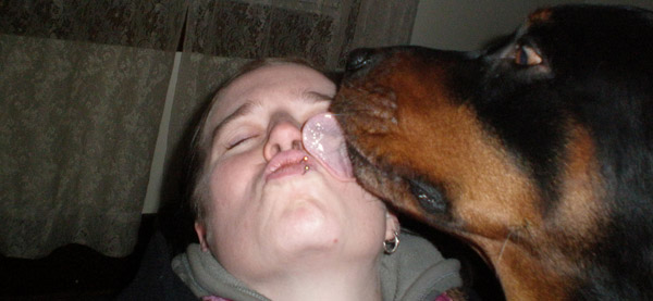Dog Kisses