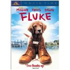 Fluke