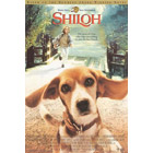 Shiloh