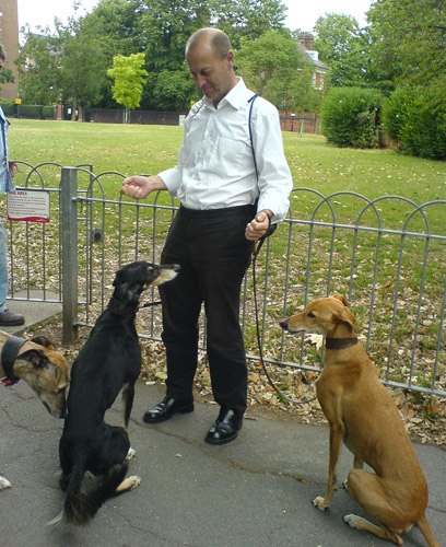 Owner-dog look alike