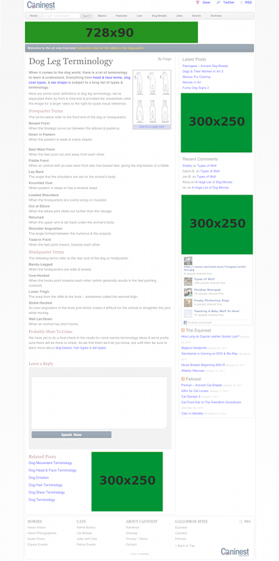 Caninest Homepage Advertising Zones Caninest Homepage Advertising Zones
