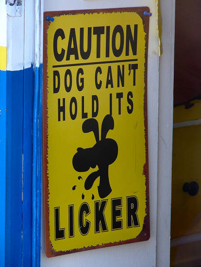 Funny Dog Signs