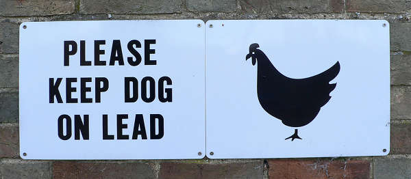 Funny Dog Signs