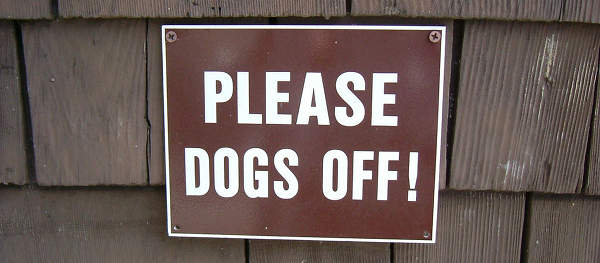 Funny Dog Signs