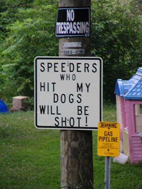 Funny Dog Signs