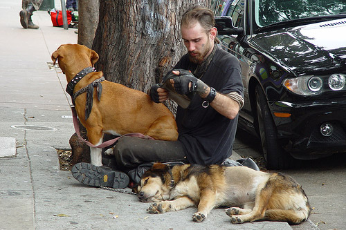 Homeless man and dog