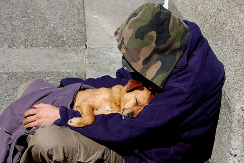 Homeless man and dog
