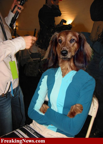 Photoshop Dog