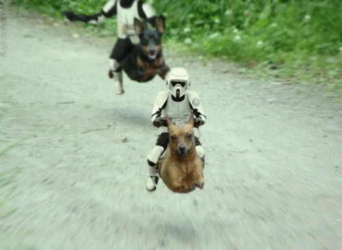 Photoshop Dog. Star Wars meets The Neverending Story