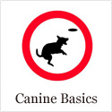 Basics